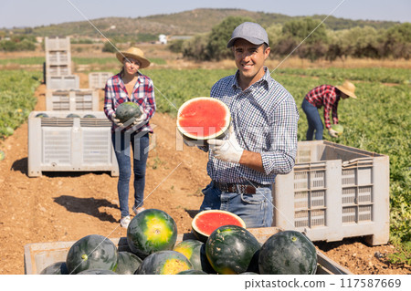 Man with half of watermelon on fruit farm Man with half of watermelon on fruit farm 117587669
