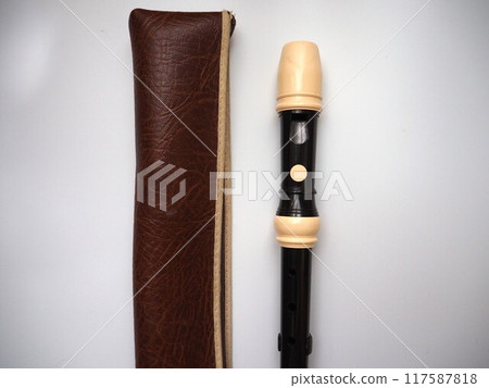 Photo of a recorder and recorder case 117587818