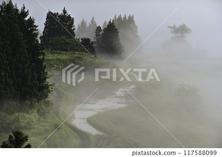 星峠的春天早晨的薄霧景觀 117588099