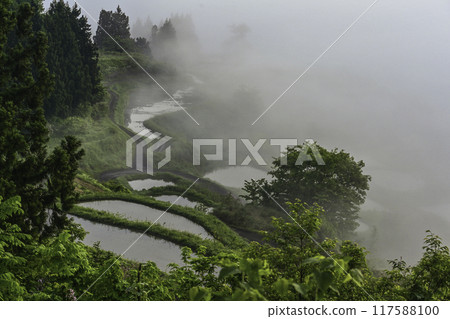Spring morning view of Hoshi Pass shrouded in mist 117588100