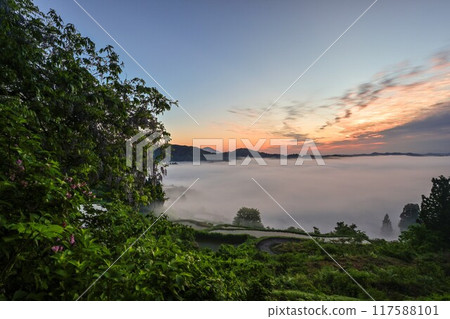 Spring morning view of Hoshi Pass shrouded in mist 117588101