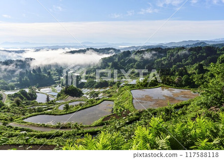 Spring morning view of Hoshi Pass shrouded in mist 117588118