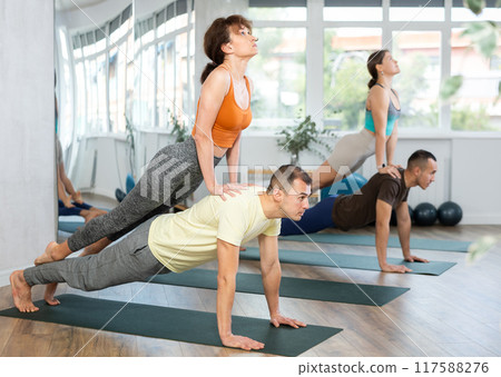Lovers of active lifestyle perform pair yoga double upward facing dog in gym Lovers of active lifestyle perform pair yoga double upward facing dog in gym 117588276