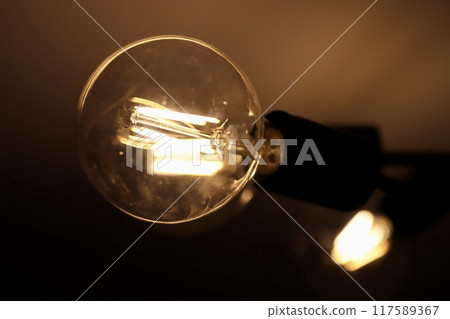 Vintage style light with LED bulbs 117589367