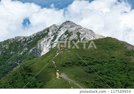 Scenery of the Southern Alps: Mt. Kaikoma 117589954