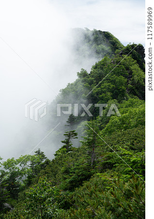 Scenery of the Southern Alps 117589969