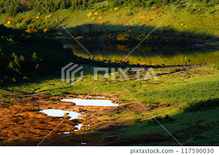 Dawn in the marshland - Sugahira marshland 117590030