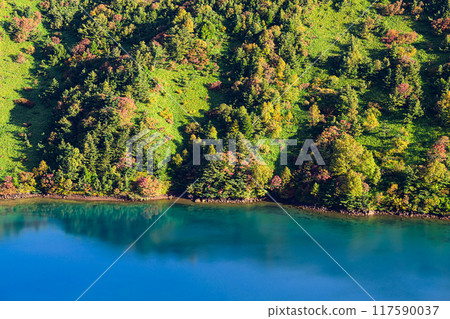 湖邊森林,秋葉,女巫的眼睛 湖邊森林,秋葉,女巫的眼睛 117590037