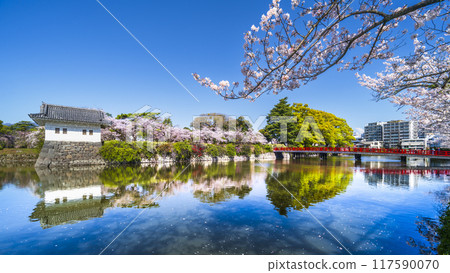 小田原城蹟公園的春天景色【神奈川縣小田原市】 小田原城蹟公園的春天景色【神奈川縣小田原市】 117590070