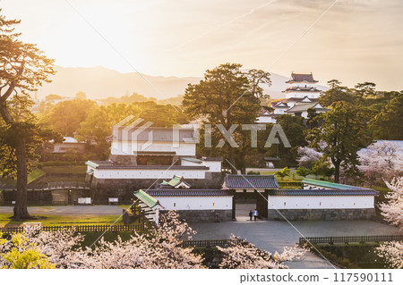 櫻花盛開的小田原城公園夜景【神奈川縣小田原市】 117590111