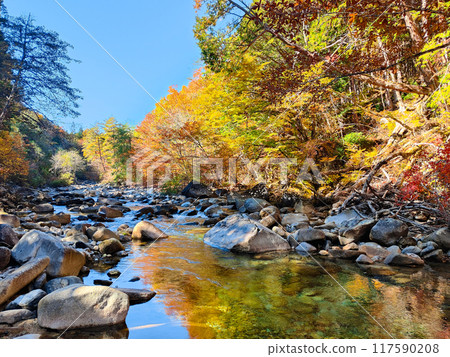 Akazawa Valley (Autumn) Akazawa Valley (Autumn) 117590208