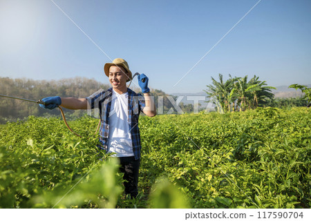 A man in a blue shirt and hat is spraying a field of green plants A man in a blue shirt and hat is spraying a field of green plants 117590704