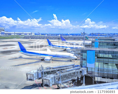 飛機降落和藍天 117590893