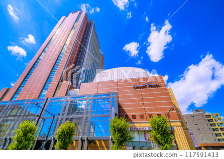 Tokyo cityscape in August. View of Carrot Tower in front of Sangenjaya Station (20th) 117591413
