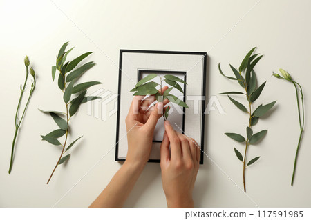 Fresh plants and flowers, photo frame and female hands on white background, top view 117591985