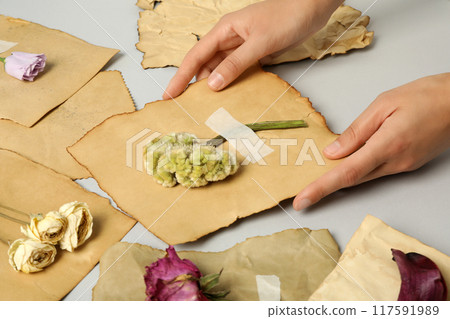 Herbarium of flowers on vintage papers in hands on light background Herbarium of flowers on vintage papers in hands on light background 117591989