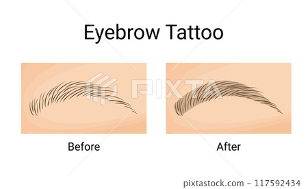 Powder Brows Tattoo Before and After. Vector illustration design. Powder Brows Tattoo Before and After. Vector illustration design. 117592434