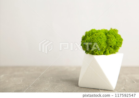 Vase with stabilized moss on grey background. Eco design interior. 117592547