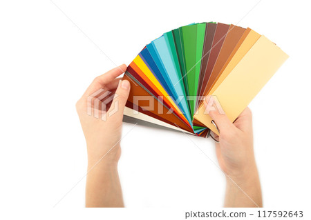 Colors range palette on hand isolated on white background 117592643
