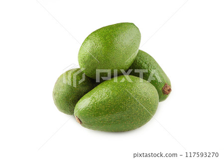 Fresh avocado isolated on a white background Fresh avocado isolated on a white background 117593270