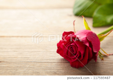 Red rose flower on vintage wooden background Red rose flower on vintage wooden background 117593487