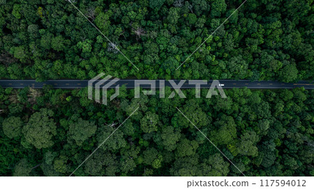 Electric vehicle car in forest road deep rain forest tree with green tree forest view from above, Aerial view electric vehicle ev car in forest asphalt road, EV car on road middle of forest tree. 117594012