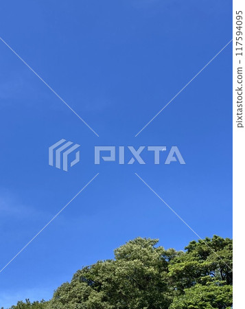 月亮漂浮在藍天 月亮漂浮在藍天 117594095