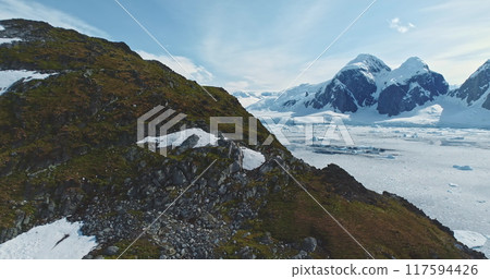 Amazing Antarctica mountains winter landscape. Green rock hill, frozen ocean, ice snow covered island glacier in background. Antarctic wild nature travel exploration. Tourism expedition to South Pole 117594426