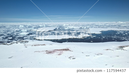 Antarctica wildlife exploration landscape, aerial perspective. Winter scene penguins resting snow covered coast, ocean glaciers ice floe under blue sky. Antarctic travel and exploration. Drone flight 117594437