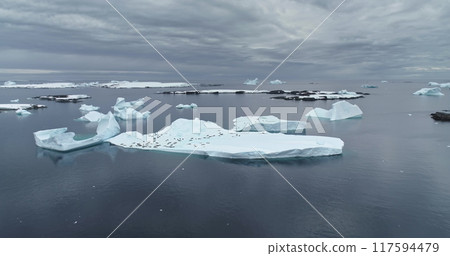 Antarctica wildlife protection, aerial view of massive melting iceberg floating polar ocean. Seals colony rest on ice floe float in South Pole. Ecology, climate change, global warming in Arctic Antarctica wildlife protection, aerial view of massive melting iceberg floating polar ocean. Seals colony rest on ice floe float in South Pole. Ecology, climate change, global warming in Arctic 117594479