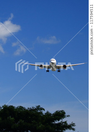 飛機降落 117594511