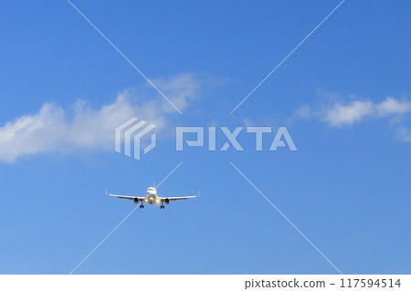 飛機降落 117594514
