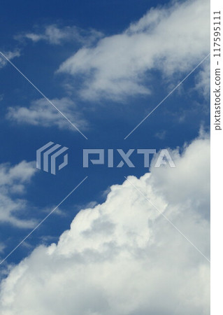 夏天的藍天白雲 夏天的藍天白雲 117595111