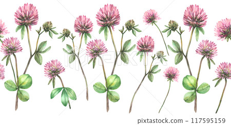 Clover flower twig with leaves and bud. Seamless border. Watercolor isolated illustration. Hand drawn pink field wildflowers for spring floral und botanical fabric, wallpaper Blooming meadow pattern  117595159