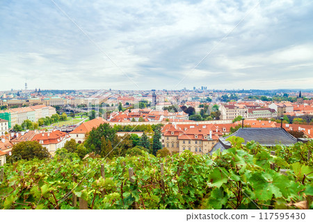 Old buildings with tiled roofs. Aerial view. Prague, Czech Republic. 117595430