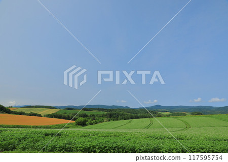廣闊田野的美瑛拼布之路的夏日風景 117595754