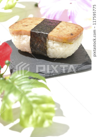 Spam Musubi, tropical image 117595775