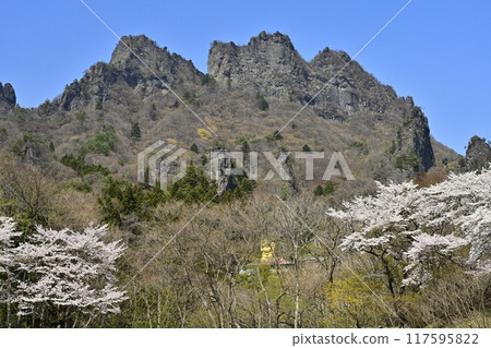妙義山櫻花之鄉和妙義山（金東山）的櫻花盛開 117595822