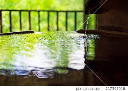 直接從綠色背景流出的溫泉的圖像 117595916