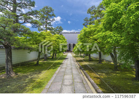 大本山妙見寺（妙見寺） Daihondo 117596387