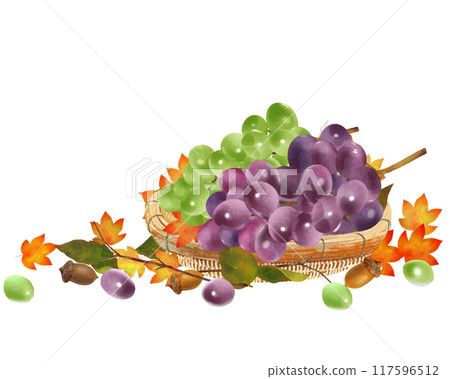 秋天的味道，如籃子裡的葡萄和麝香、楓葉和橡子白背景向量圖素材 117596512