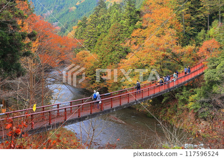 [東京]秋川谷（多摩川）的紅葉 117596524