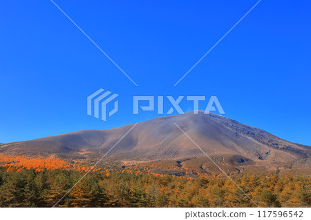 [長野縣]晴天淺間山的紅葉 117596542