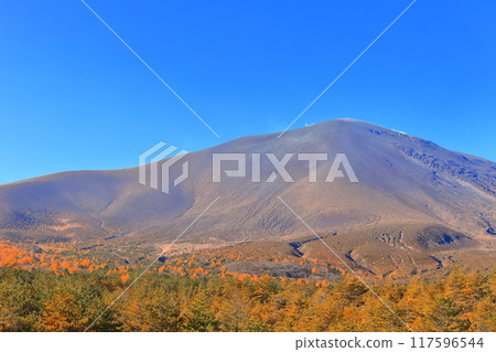 [長野縣]晴天淺間山的紅葉 117596544