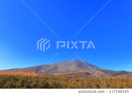 [長野縣]晴天淺間山的紅葉 117596545