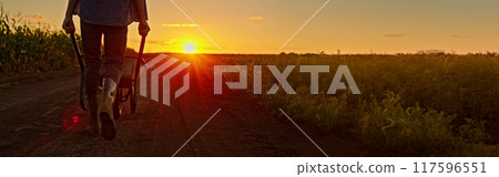 Wide shot of A farmer walking along a dirt road at sunset, pushing a wheelbarrow next to a cornfield. Wide shot of A farmer walking along a dirt road at sunset, pushing a wheelbarrow next to a cornfield. 117596551
