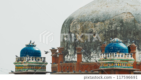New Delhi, Delhi, India. Doves birds sitting on Babur's Tomb near The Humayun's tomb. Famous place is Tomb of Mughal emperor, Mirza Nasir al-Din Muhammad commonly known as Humayun situated in Delhi 117596691