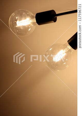 Vintage style ceiling light with LED bulbs 117596721