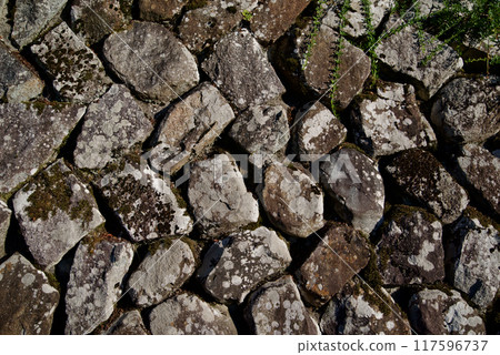 已使用長時間的農舍的石牆背景材料紋理 117596737