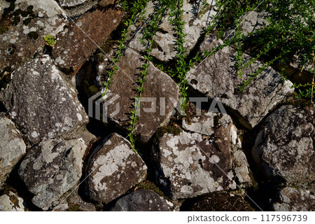 Stone wall of an old farmhouse, background material, texture 117596739